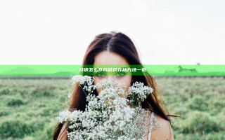 只狼怎么存档 游戏存档方法一览