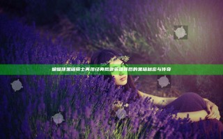 蝙蝠侠黑暗骑士再现经典 揭露英雄背后的黑暗秘密与传奇