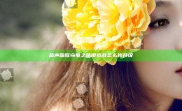 蜚声国际 乌龟之路模拟战怎么样升级
