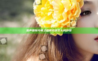 蜚声国际 乌龟之路模拟战怎么样升级