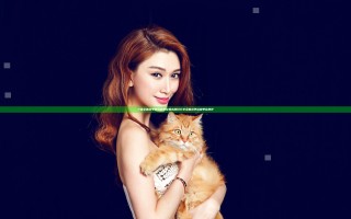 三国全面战争各远程单位输出测试分享 全面战争远程单位测评