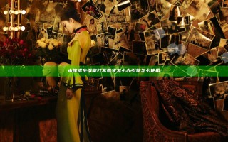 木筏求生引擎打不着火怎么办 引擎怎么使用