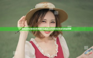 海岛大亨6电视台作用是什么 海岛大亨6电视台特点与收益详解