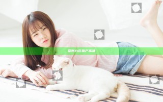 亚洲九区国产高清