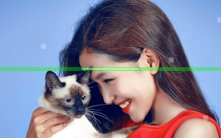 DNF狂撩之夜内衣装扮礼包值得入手吗 内衣装扮礼包价钱及上线时间分享