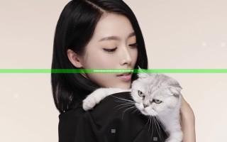 行情软件助您轻松把握市场动态 提升投资决策效率