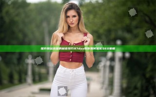 提升网站流量的秘密技巧 97dyy教你如何优化SEO策略