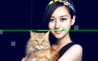 猎艳狂魔带你揭秘如何在魅力世界中脱颖而出全新技巧与体验分享