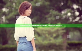 DNF2019五一套收集箱属性怎么样？升级强化方法是什么