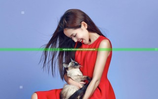 秘书被C摁办公H跪趴引发的职场权力与性别议题深度分析