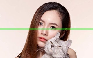 妈妈你真棒 插曲快来救救我 电影评书深度解析与精彩看点分享