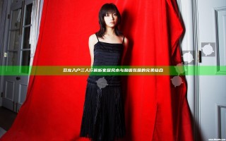 双龙入户三人行 解析家居风水与和谐氛围的完美结合