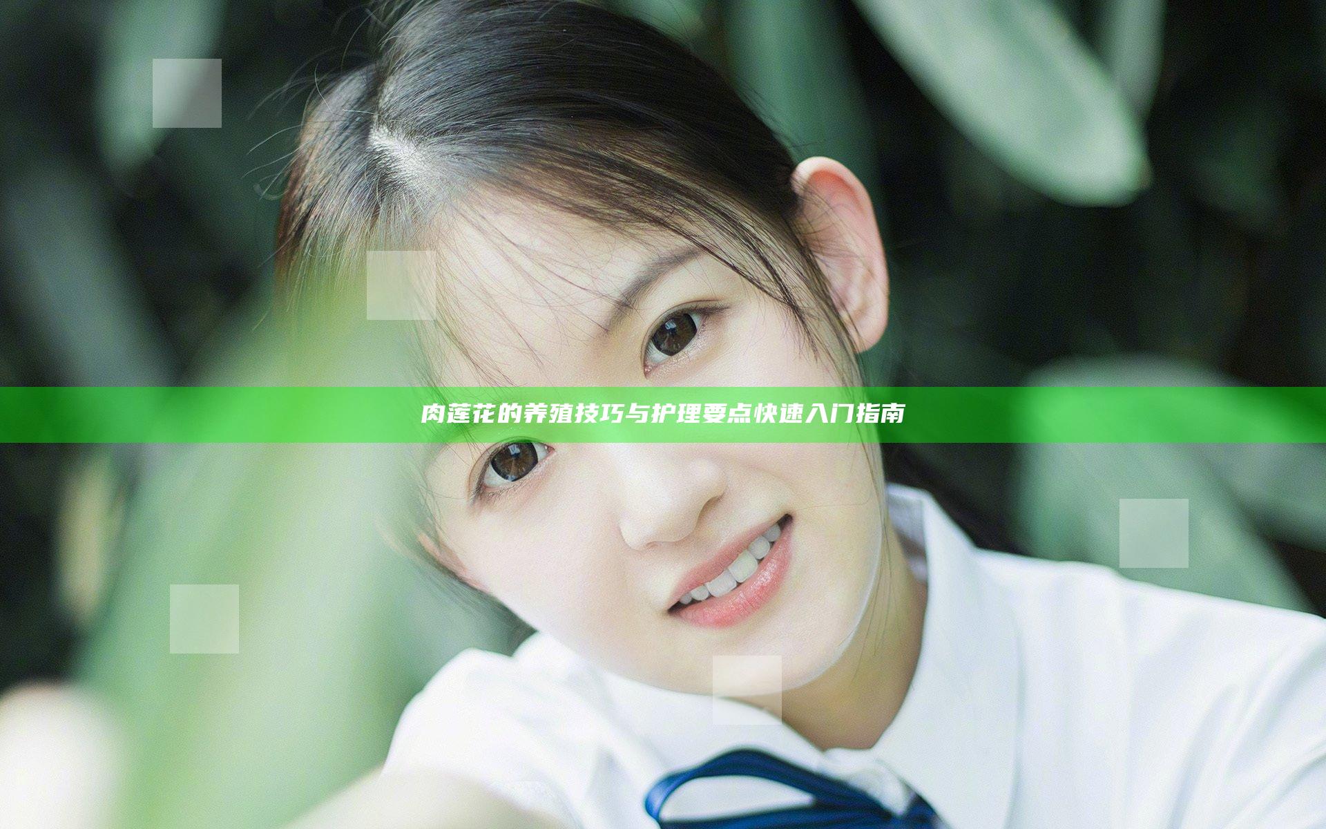 肉莲花的养殖技巧与护理要点快速入门指南