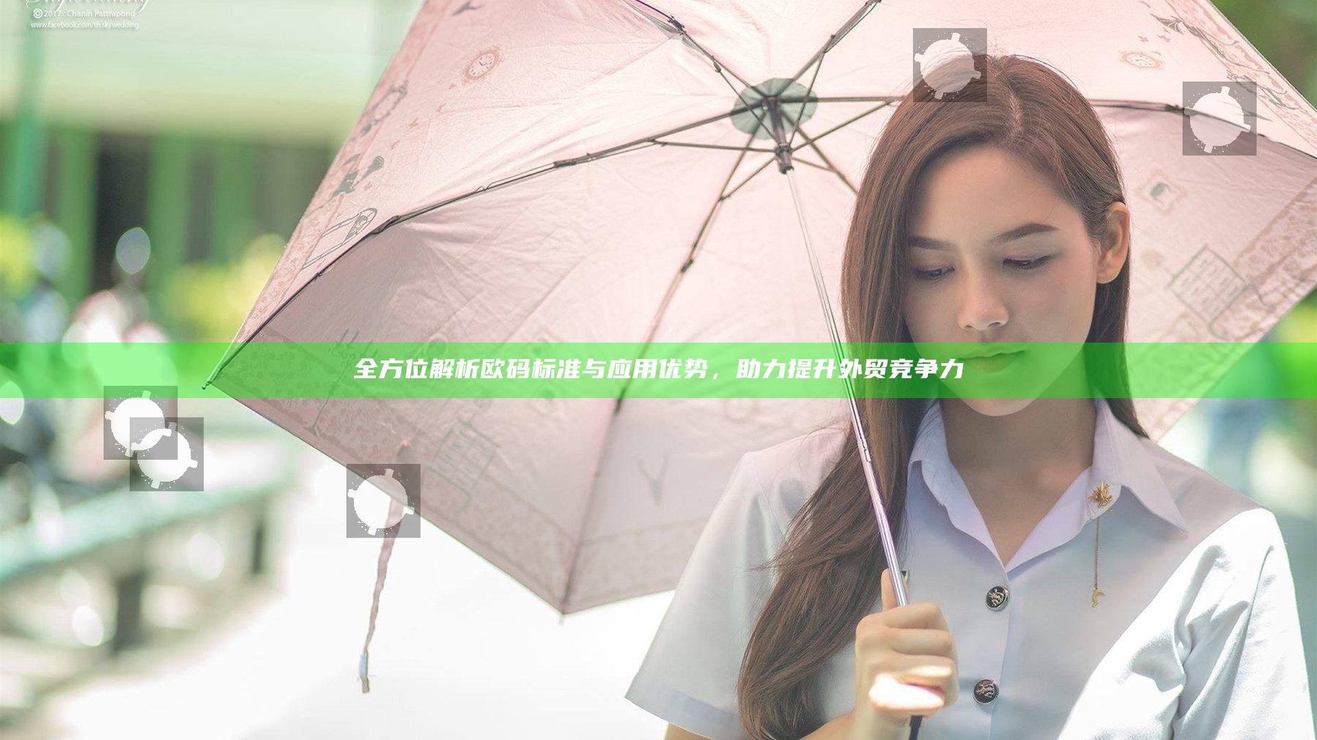 全方位解析欧码标准与应用优势，助力提升外贸竞争力